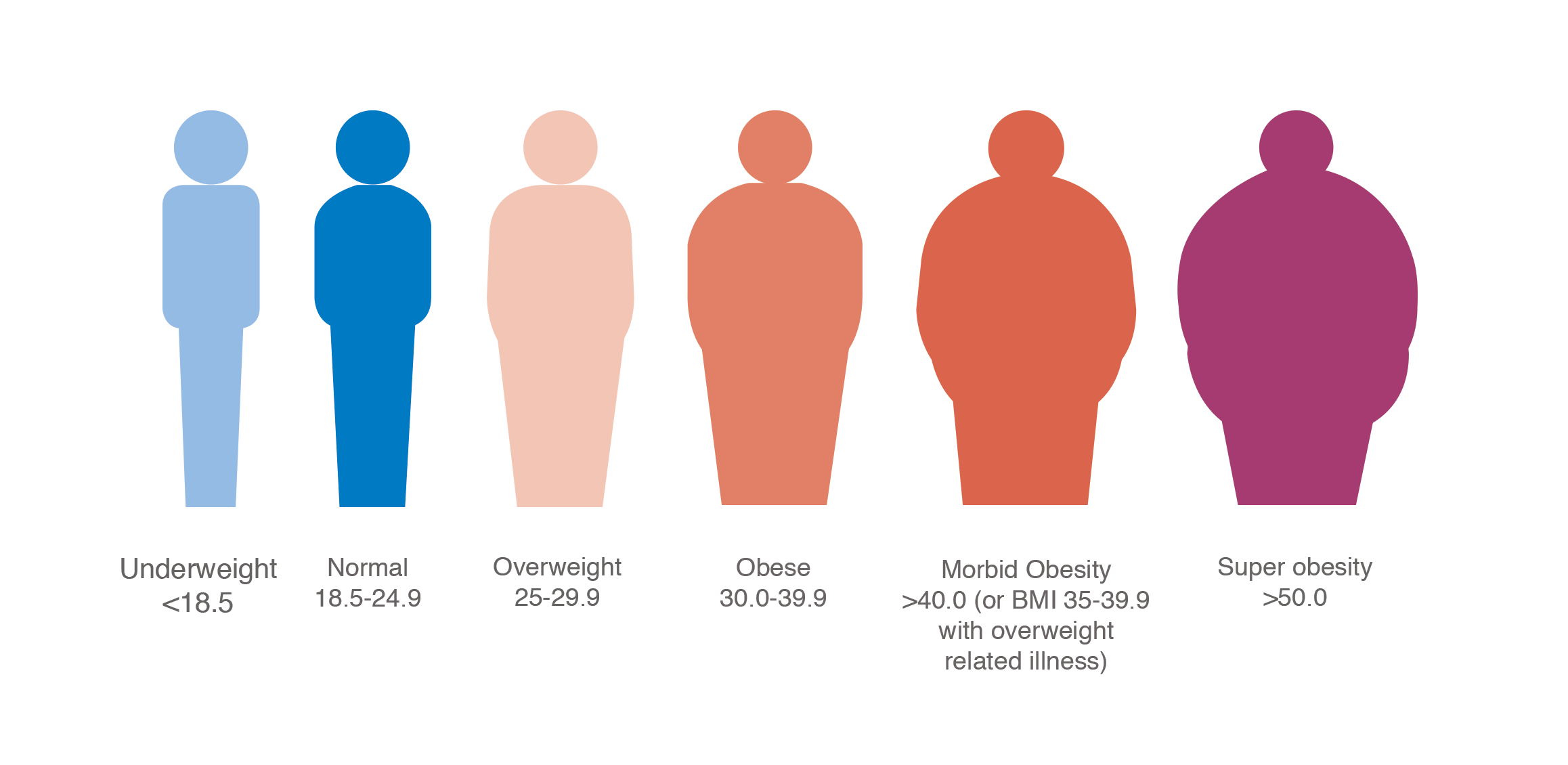 Overweight Obese Morbidly Obese Chart